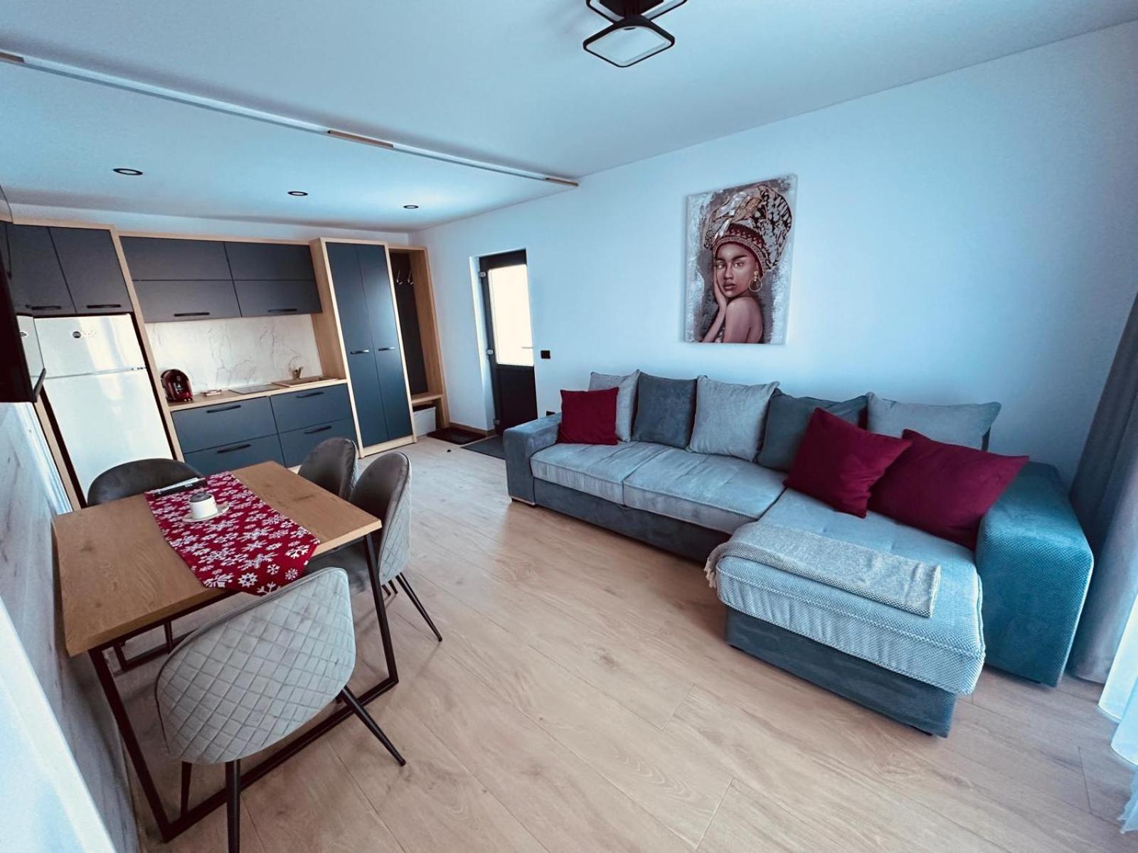 Panoramic Residence Borşa Exterior foto